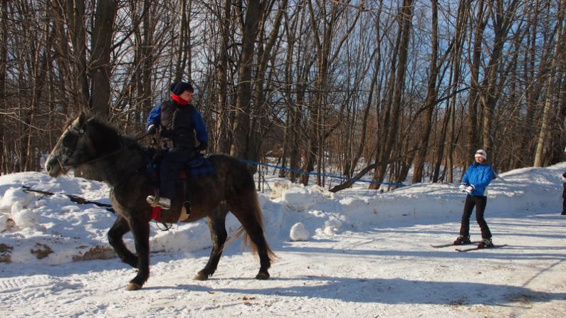 Le ski joëring est un moyen de locomotion scandinave très ancien. Le principe en est simple : un skieur tracté par un cheval. (Nathalie Dieul/Epoch Times)