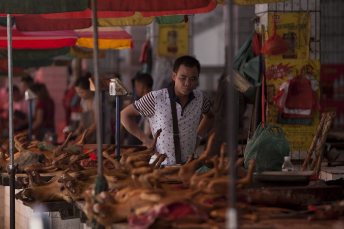 Un festival de viande de chien en Chine suscite une campagne d’indignation sur les réseaux sociaux