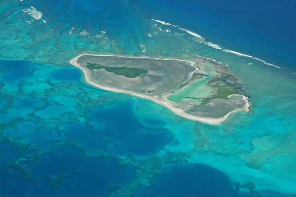 « Les coraux, où la vie marine foisonne, souffrent de blanchiment et meurent sous l’effet de la hausse des températures. » Ban Ki-moon, secrétaire général de l’ONU. (Pearl and Hermes Atoll)