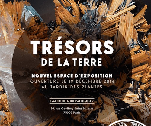 Trésors de la Terre au Museum National d’histoire naturelle