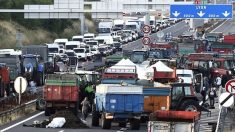 Les agriculteurs et les éleveurs ne décolèrent pas