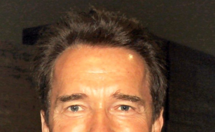 Arnold Schwarzenegger. (Wikimedia)