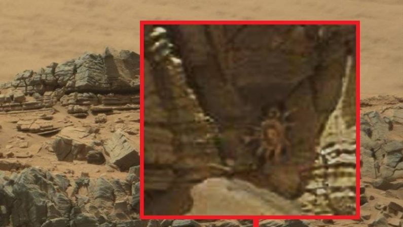 La présence d'un "crabe de l'espace" sur une image de Mars de la Nasa a fait le tour d'internet ( NASA )