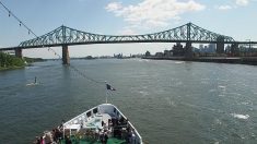 Une croisière sur le Saint-Laurent