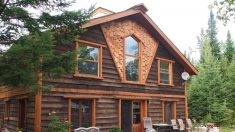 Une maison recréant l’esprit de la forêt