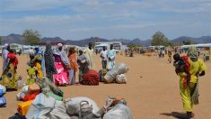 Les réfugiés affluent au Cameroun par peur de Boko Haram