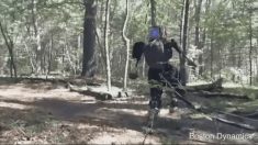 Quand Google envoie ses robots-cyborgs promener en forêt