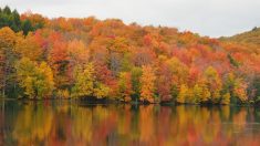 Promenades d’automne dans les Cantons-de-l’Est