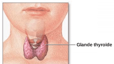 Conseils pour les personnes souffrant d’hypothyroïdie