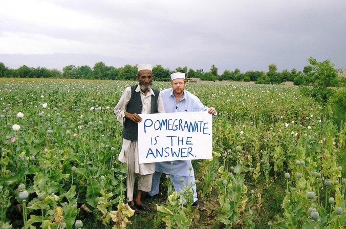 En 2007, lors de sa première visite en Afghanistan, James Brett est allé dans le champ de pavot d’un agriculteur, pour le convaincre de passer à la culture de la grenade (Courtesy of Plant For Peace)