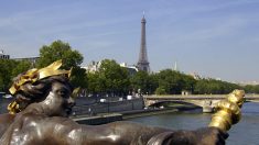 Paris Greeters, Parisiens d’un jour