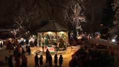 5 raisons d’aller dans un marché de Noël