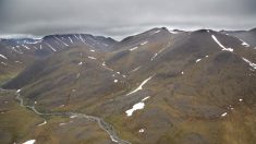 La température a atteint un niveau record dans l’Arctique