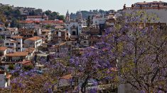 Taxco, la cité de l’Étoile de Noël