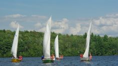 Camps d’été : quand réserver ?