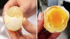 Voici comment la Chine crée des oeufs chimiques artificiels