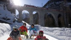 Tous en luge : plaisir sur la piste de luge de Preda-Bergün