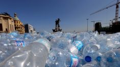 Des bactéries mangeuses de plastique pourraient révolutionner la lutte contre la pollution