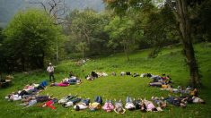 Chine: une « école de la nature » qui a déjà obtenu beaucoup de soutien