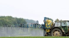 Pesticides dans votre région : à vous de témoigner