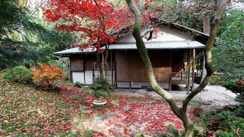 Jardin japonais du musée Abert Kahn.. (FRANCOIS GUILLOT/AFP/Getty Images)