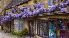 Un long week-end très British dans les Cotswolds !