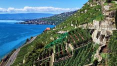 La Riviera suisse ou la mer à la montagne…