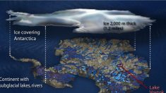 Découverte d’un nouveau paysage sous la glace de l’Antarctique