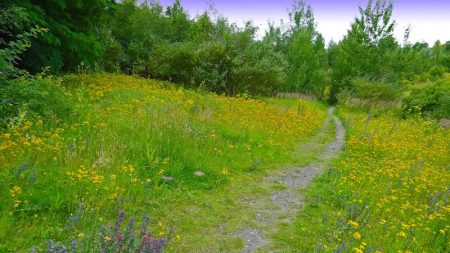 Bras de fer pour la préservation de la biodiversité