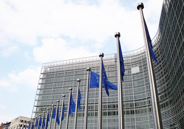 Les drapeaux de l'Union européenne (EU) devant le Parlement européen à Bruxelles. (CC0 Public Domain)