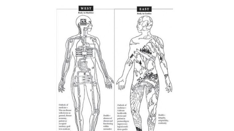 En Occident, le corps est vu comme une machine. En Orient, il est plutôt perçu comme un jardin.