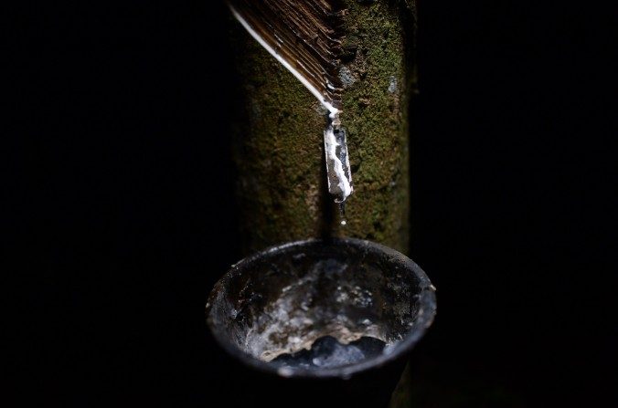 La sève blanche d'un arbre à caoutchouc est recueillie dans un récipient dans une plantation du village de Ka Po dans la province de Phang Nga, au sud de la Thaïlande. (Christophe Archambault / AFP / Getty Images)