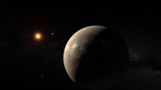 Proxima b : une nouvelle exoplanète “proche”, potentiellement habitable