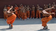 Un maître du Kung Fu présente sa technique légendaire