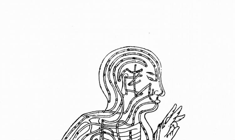 Dessin du flux des méridiens des organes. (Photos.com)