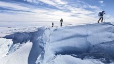 Des carottes de glace pour la mémoire de l’humanité