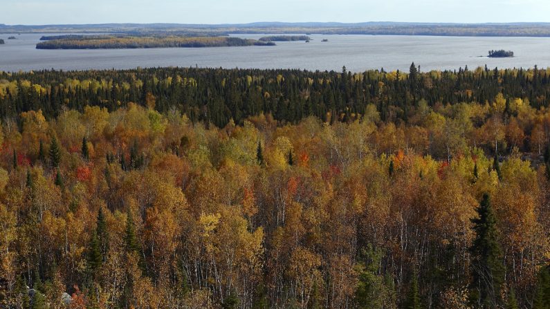 À la fin de l’été, les berges de la rivière Harricana se parent de chatoyantes couleurs fauves. (Charles Mahaux)