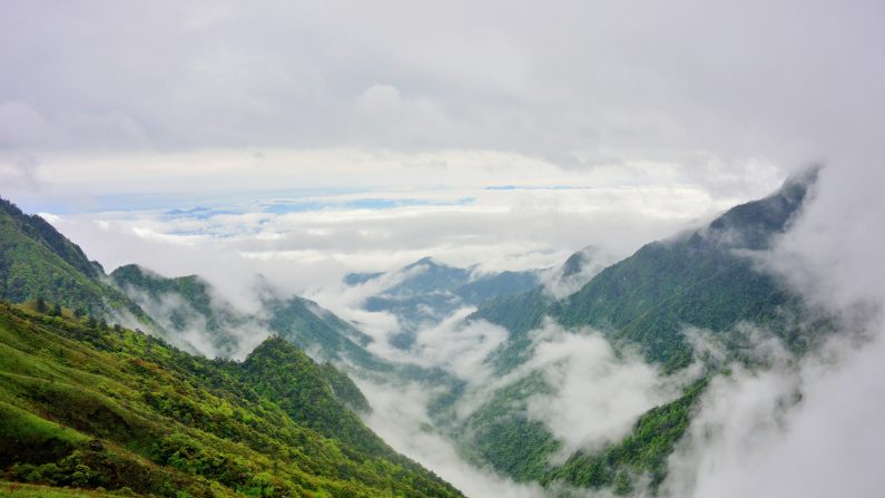 Monts Wugong, Jiangxi, Chine. ((Neil Young / Flickr)
