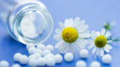 L’homéopathie, médecine holistique?