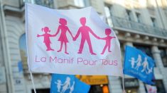 La Manif pour tous: le gouvernement affirme l’interdiction de la GPA