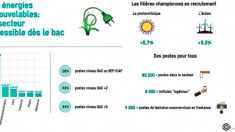 L’emploi en hausse pour les énergies renouvelables