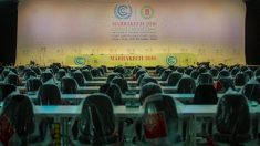 Les sept enjeux de la COP22