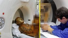 Le scanner incroyable d’une statue du Bouddha de 1200 ans