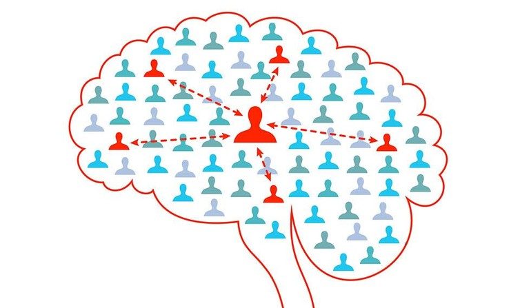 Le cerveau, réseau social. (Université de Bâle)