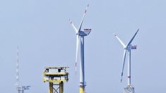 Vers une autonomie énergétique du littoral