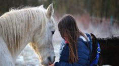 Le cheval facilitant le «regard à l’intérieur»