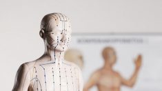 Acupuncture et médecine chinoise pour la santé mentale (II)