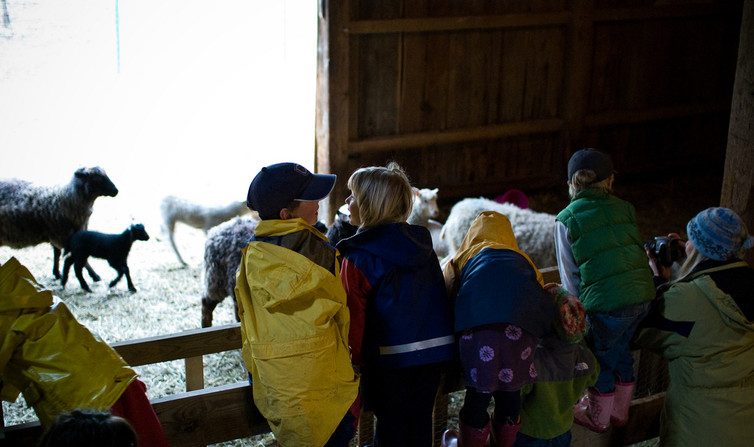  Visite à la ferme. Brian Boucheron/Flickr, CC BY 