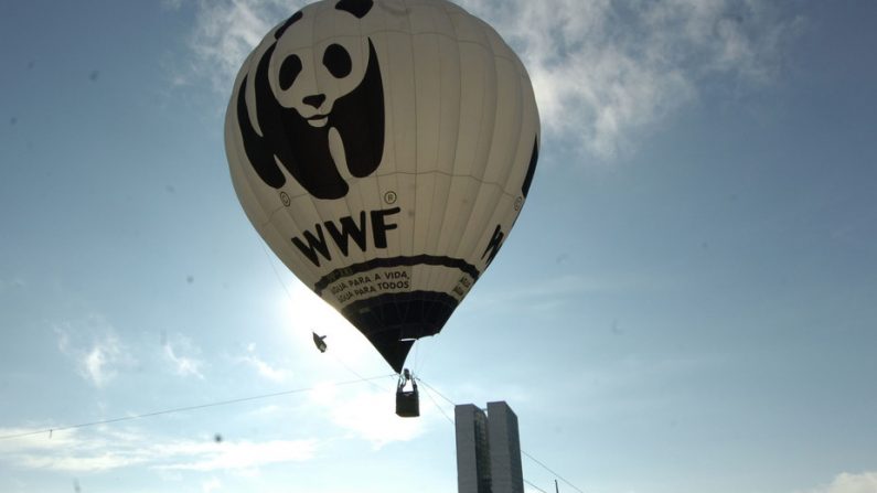 La collaboration avec une ONG comme WWF permet à l'entreprise de mieux apprendre la RSE. (Ballon WWF à Brasilia en mars 2007). José Cruz/Wikipedia, CC BY