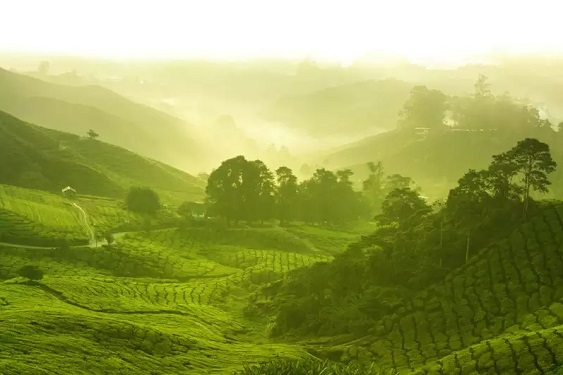 La façon dont le peuple Senoi de Malaisie voit les rêves a suscité un fort intérêt chez des rêveurs du monde entier pendant des décennies. (Shutterstock)